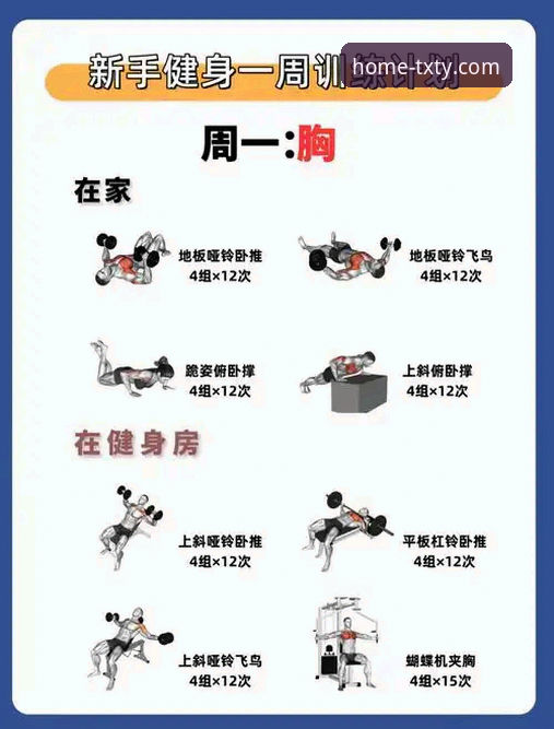 天行体育平台核心功能深度解析：从新手到高手的完整操作指南